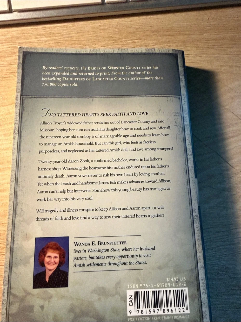 Allison's Journey Paperback - Beige & Brown Cover